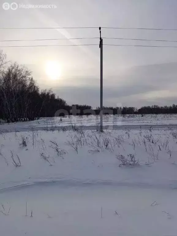 Участок в Омск, улица Санина (8.58 м) - Фото 2