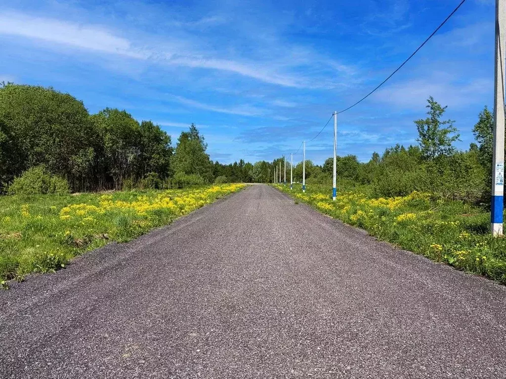 Участок в Московская область, Клин городской округ, Коськово кп 145 ... - Фото 1