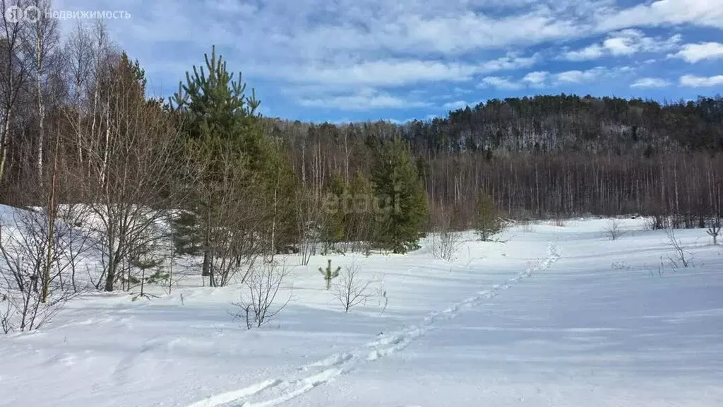 Участок в Прибайкальский район, село Турка (100 м) - Фото 1