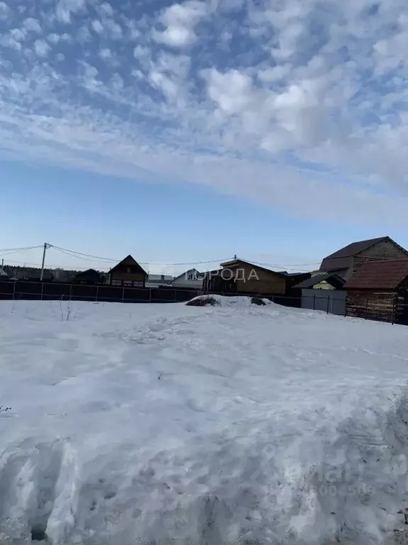 Участок в Новосибирская область, Новосибирский район, Кубовинский ... - Фото 1