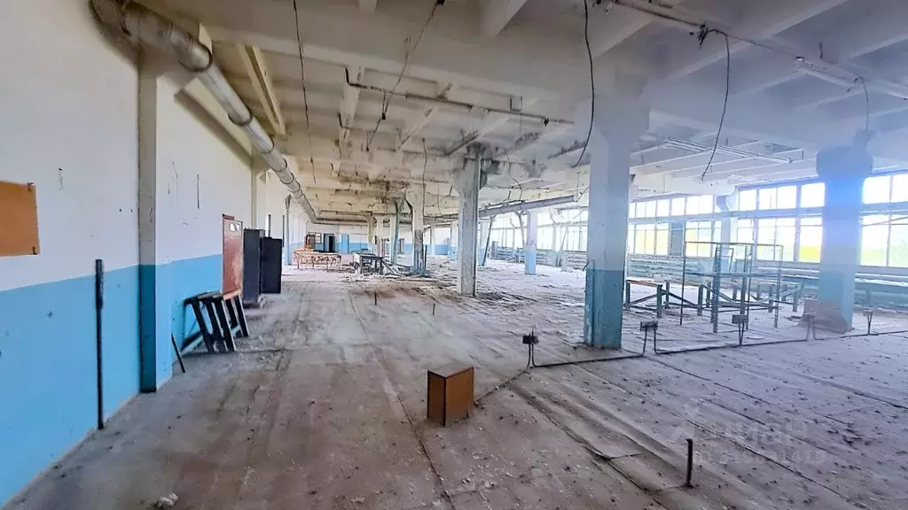 Производственное помещение в Ульяновская область, Майна рп ул. Лесная, ... - Фото 1