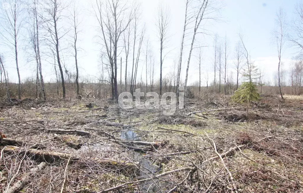 Участок в Калужская область, Малоярославецкий муниципальный округ, ... - Фото 2