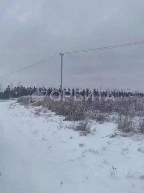 Участок в Тюменская область, Тюменский муниципальный округ, д. ... - Фото 1