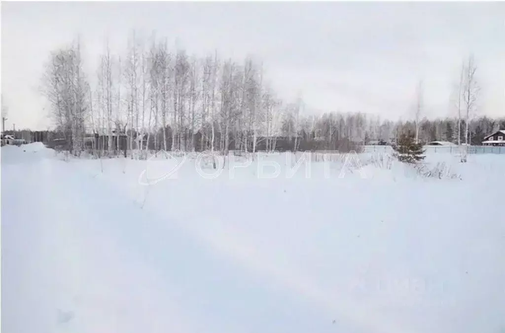 Участок в Тюменская область, Нижнетавдинский район, пос. Торгили ... - Фото 0