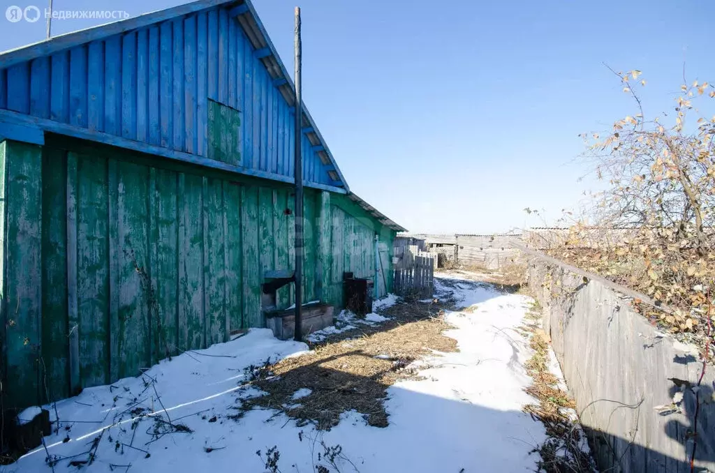 Дом в Ялуторовский район, деревня Осинова, улица Ишмухамедова (31.2 м) - Фото 0