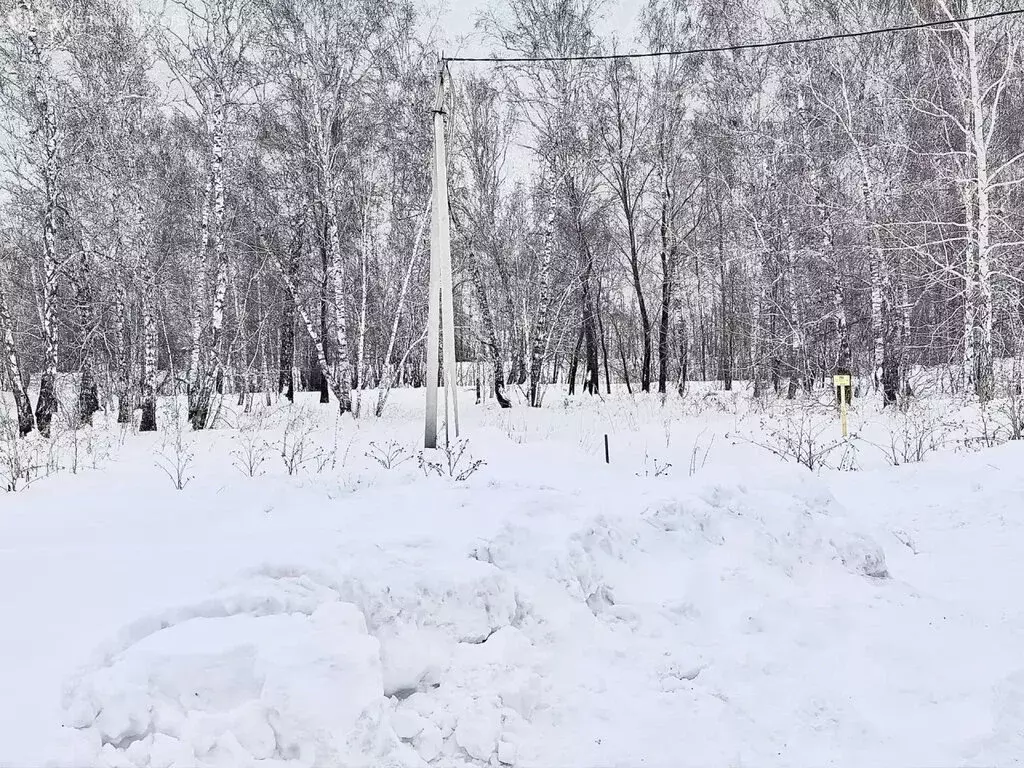 Участок в муниципальный округ Омский район, деревня Ракитинка ... - Фото 1