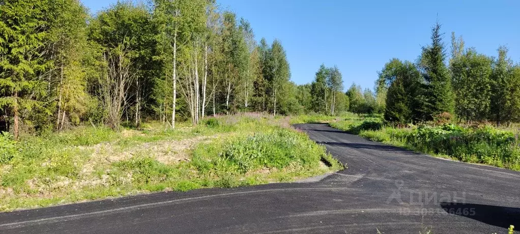 Участок в Московская область, Сергиево-Посадский городской округ, д. ... - Фото 1