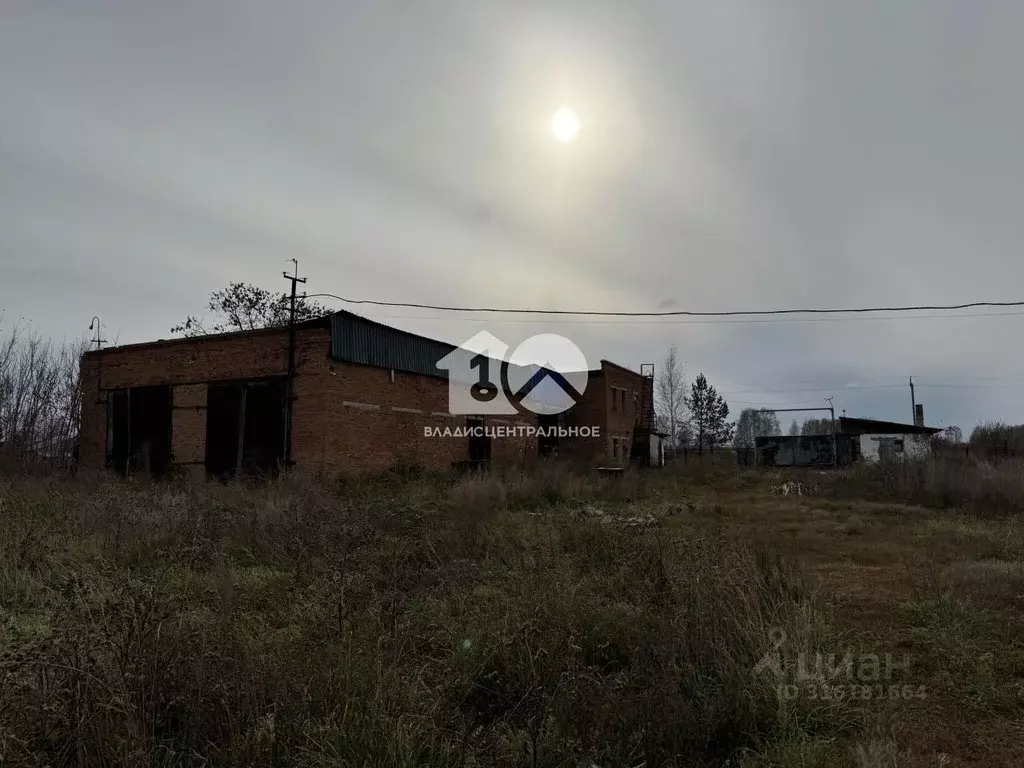 Производственное помещение в Новосибирская область, Мошковский район, ... - Фото 1