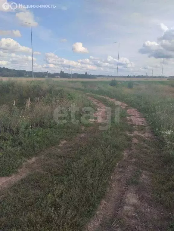 Участок в Республика Марий Эл, городской округ Йошкар-Ола, деревня ... - Фото 2