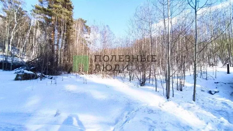 Участок в Иркутская область, Иркутский муниципальный округ, Излучина ... - Фото 1