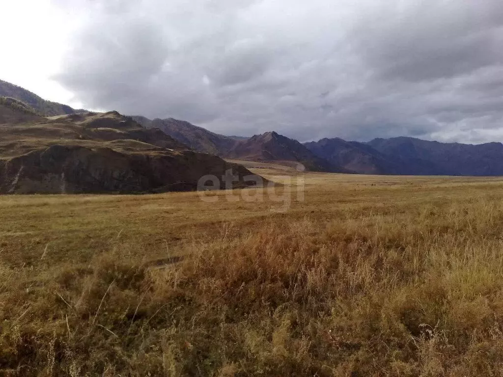 Участок в Чемальский район, село Куюс (10 м) - Фото 1