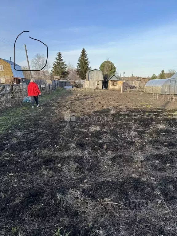 Участок в Новосибирская область, Мошковский район, Радуга-1 СТ 42 ... - Фото 2