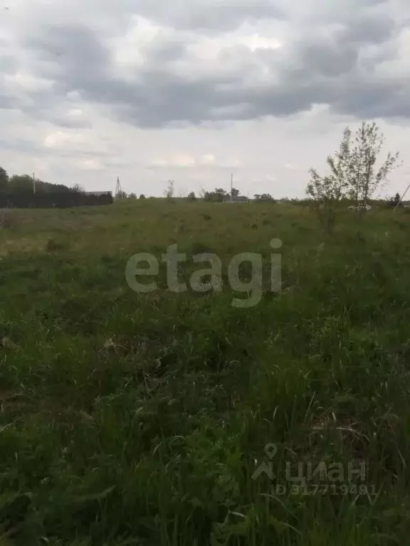 Участок в Брянская область, Брянский район, Мичуринское с/пос, д. ... - Фото 1