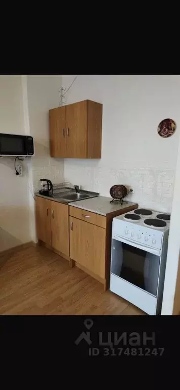 Студия Санкт-Петербург ул. Адмирала Черокова, 18к1 (24.5 м) - Фото 1
