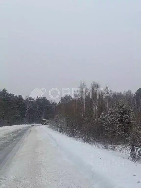 Участок в Тюменская область, Тюменский район, д. Марай  (9.96 сот.) - Фото 1