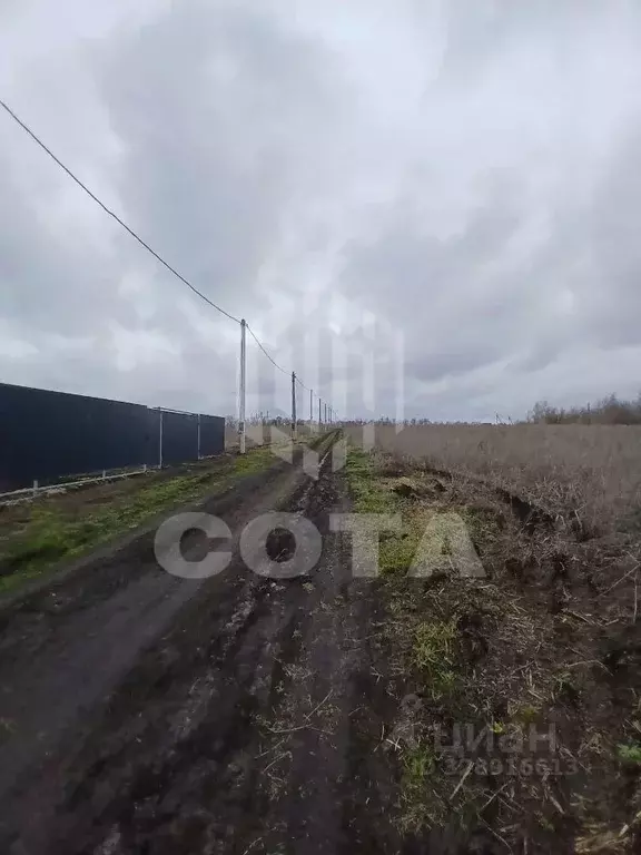 Участок в Воронежская область, Новоусманский район, с. Орлово  (9.0 ... - Фото 1