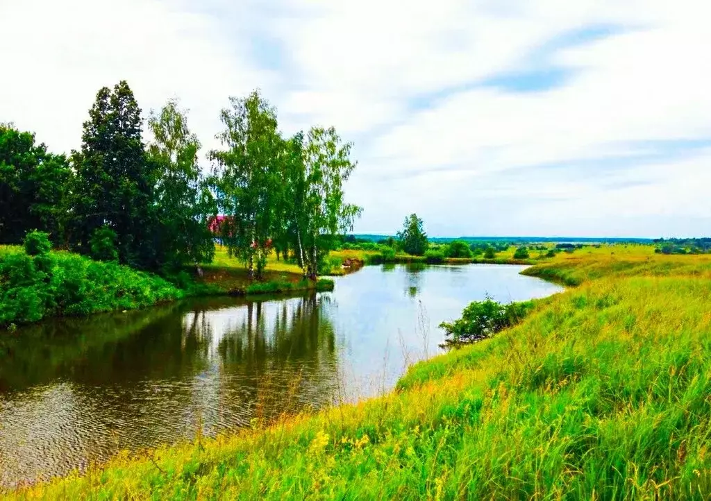 Участок в село Скорицкое, Октябрьская улица, 56В (5 м) - Фото 0