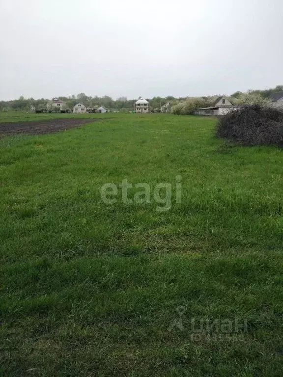 Участок в Белгородская область, Волоконовский район, с. Ютановка  ... - Фото 1