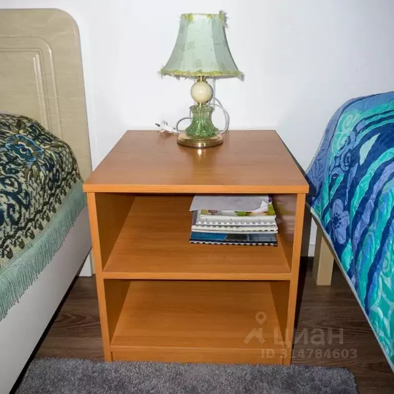 Дом в Алтай, Чойский район, Паспаульское с/пос, с. Салганда ул. ... - Фото 2