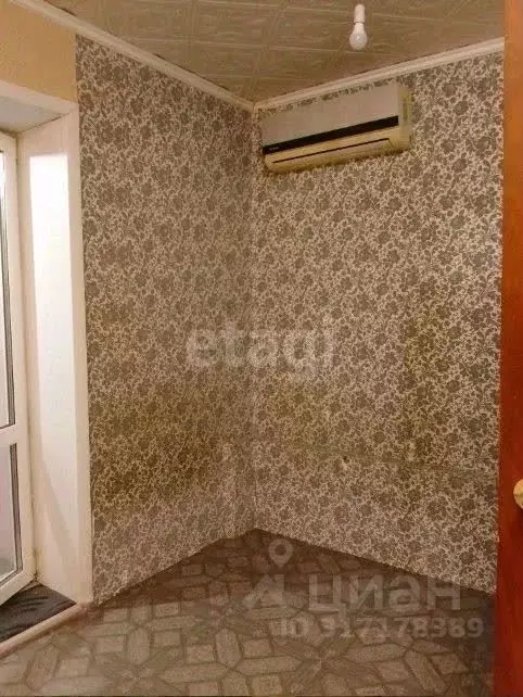 Студия Амурская область, Благовещенский район, с. Чигири ул. Утренняя, ... - Фото 2