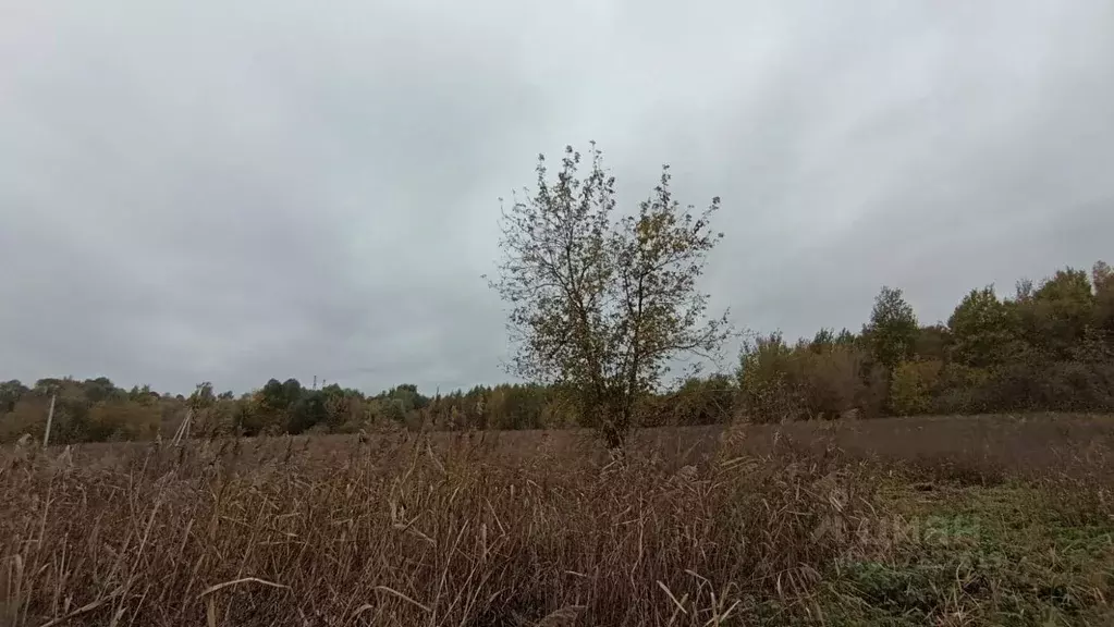 Участок в Московская область, Шатура  (30.0 сот.) - Фото 0