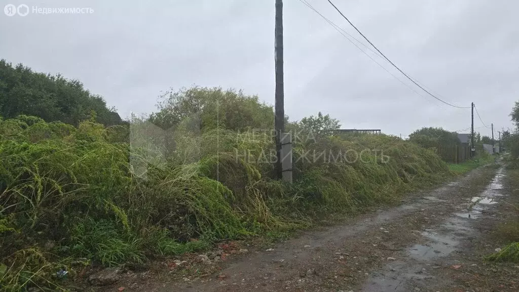 Участок в Тюмень, садовое товарищество Рябинка-2 (8 м) - Фото 1