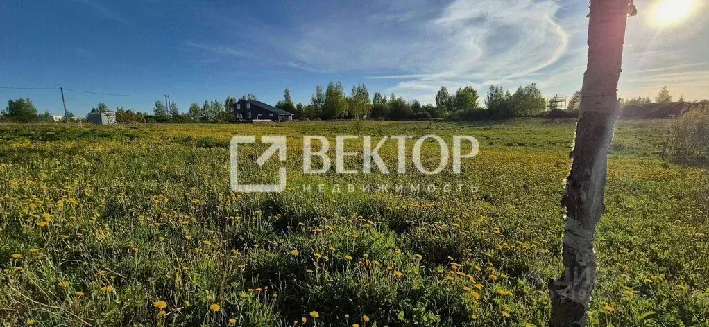 Участок в Ивановская область, Иваново ул. Совхоз ОРС (10.8 сот.) - Фото 2