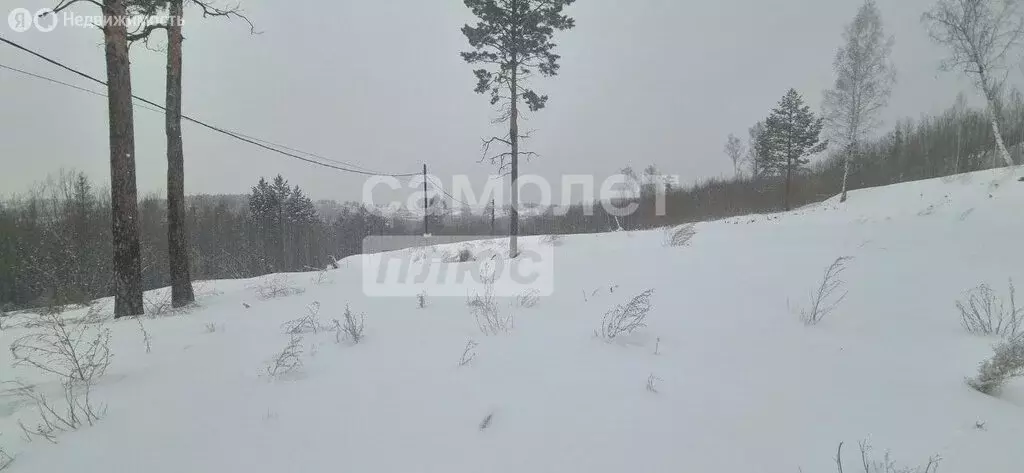 Участок в Иркутский муниципальный округ, деревня Новолисиха, посёлок ... - Фото 2