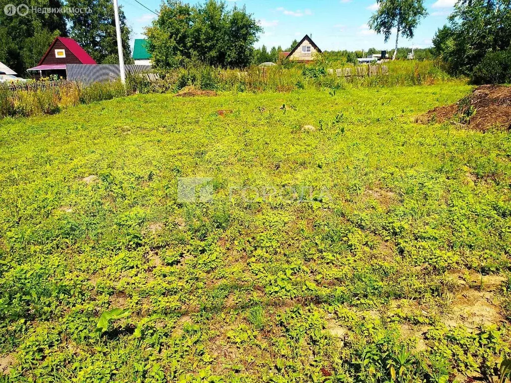 Участок в Новосибирск, СНТ Буревестник Пашинский (6.23 м) - Фото 2