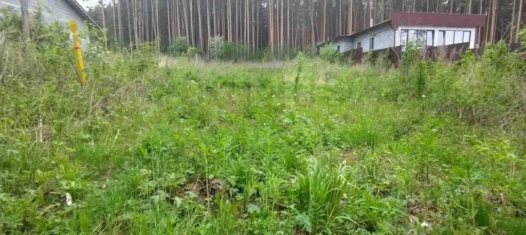 Участок в Свердловская область, Сысертский муниципальный округ, с. ... - Фото 1