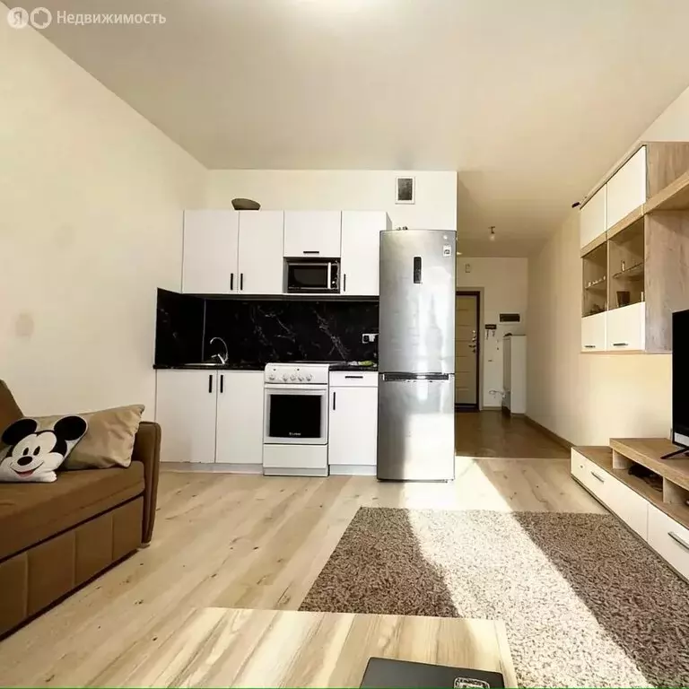 Квартира-студия: деревня Анкудиновка, Русская улица, 17 (24.9 м) - Фото 1