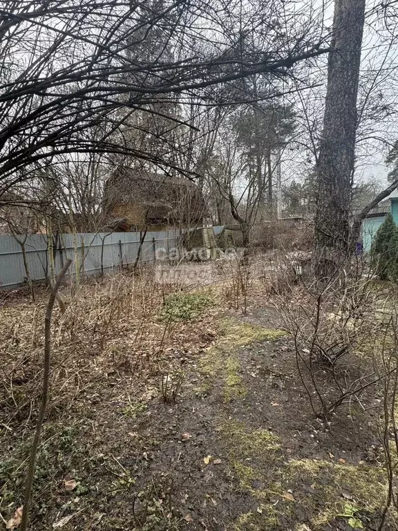 Участок 3,8 сот. (ИЖС) - Фото 0