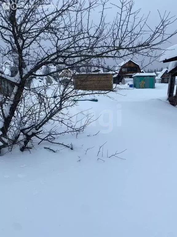 Участок в Златоуст, СНТ Ленина-5, 7-я улица (3.76 м) - Фото 2