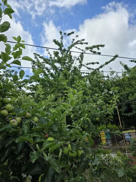 Дом в Крым, Ялта муниципальный округ, с. Оползневое ш. ... - Фото 1