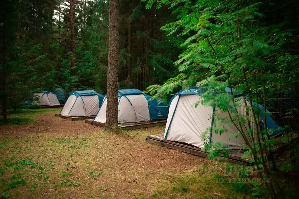 Комната Новгородская область, Валдайский район, Ивантеевское с/пос, д. ... - Фото 1
