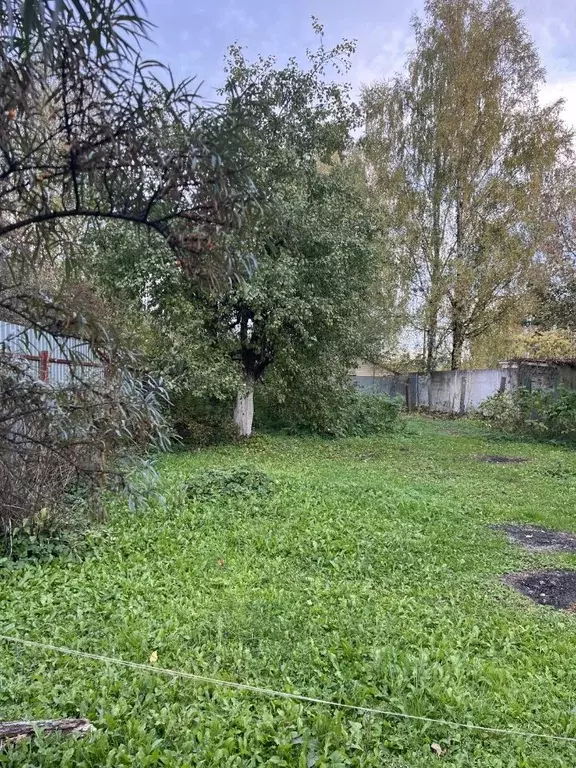 Участок в Московская область, Богородский городской округ, Химик ... - Фото 2