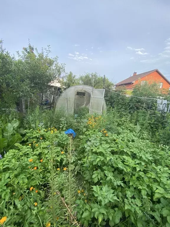 Дом в Тульская область, Щекино Интернациональная ул., 21 (39 м) - Фото 2