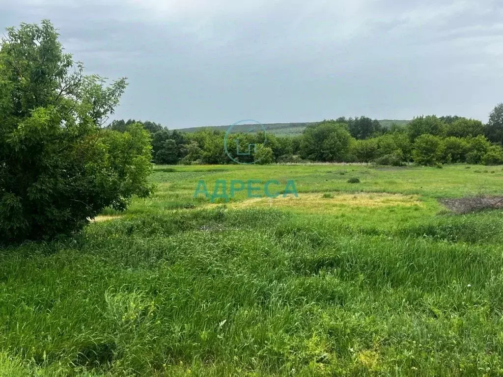 Участок в Белгородская область, Новооскольский муниципальный округ, с. ... - Фото 0