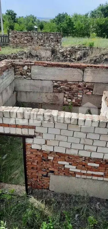 Участок в Ростовская область, Каменский район, Старостаничное с/пос, ... - Фото 1