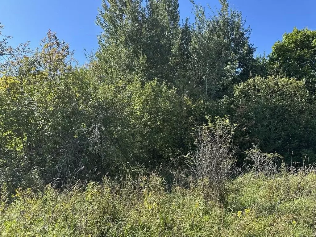 Участок в Московская область, Серебряные Пруды муниципальный округ, с. ... - Фото 1