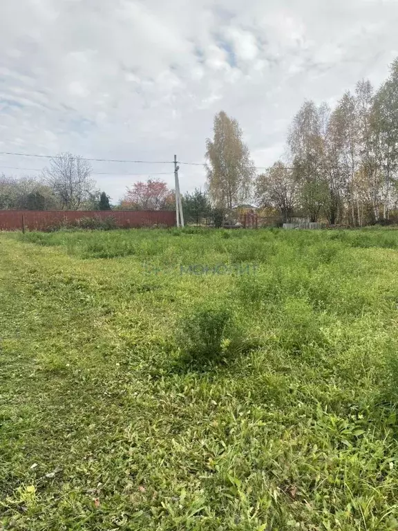 Участок в Нижегородская область, Дальнеконстантиновский муниципальный ... - Фото 1