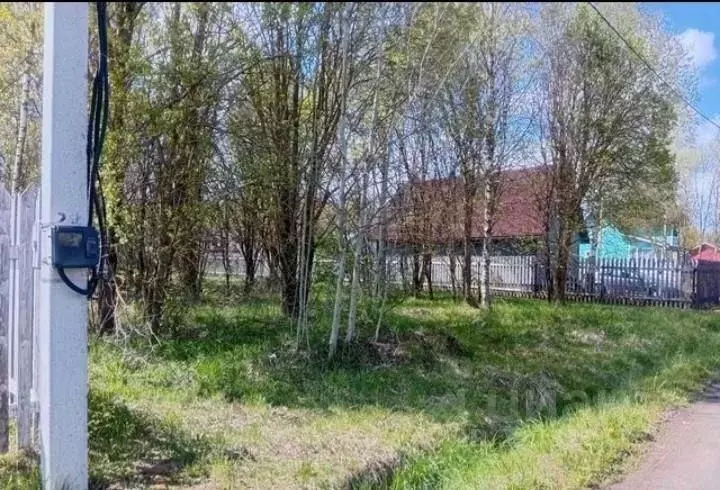 Участок в Владимирская область, Александровский муниципальный округ, ... - Фото 1