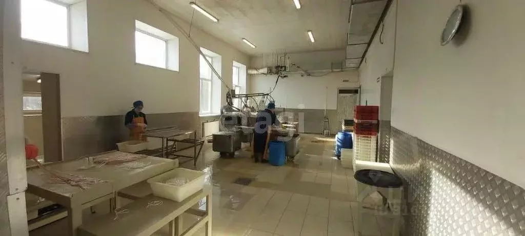 Склад в Ярославская область, Любим Костромская ул., 52 (6446 м) - Фото 1