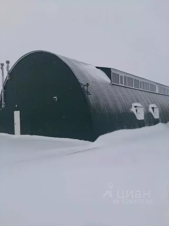 Помещение свободного назначения в Омская область, Шербакуль рп ул. ... - Фото 1