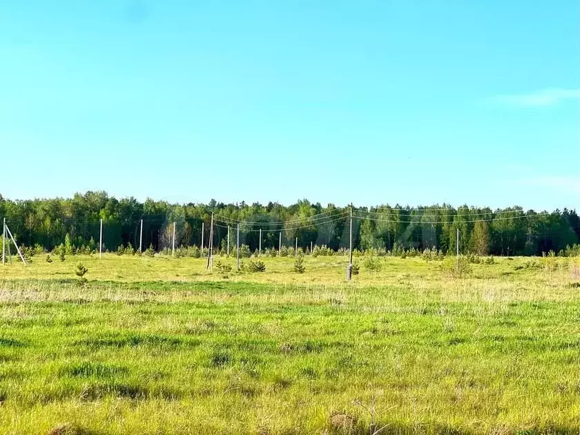 Участок в Тюменская область, Нижнетавдинский район, с. Бухтал ул. ... - Фото 0