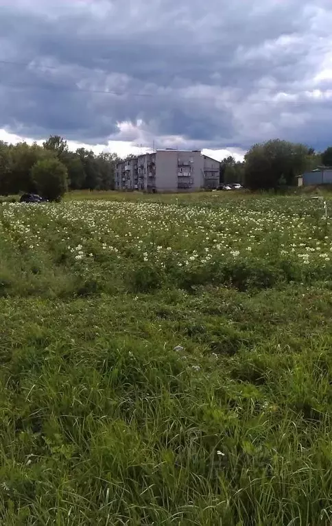 Участок в Ярославская область, Переславль-Залесский городской округ, ... - Фото 0