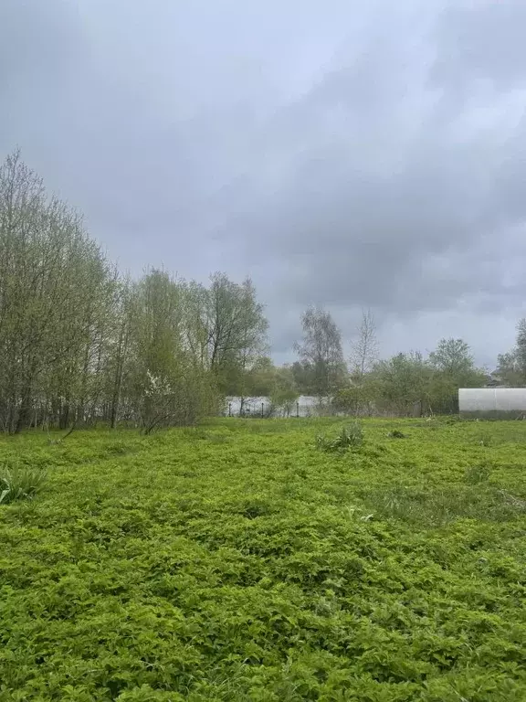 Участок в Тверская область, Кимрский муниципальный округ, д. Губин ... - Фото 2
