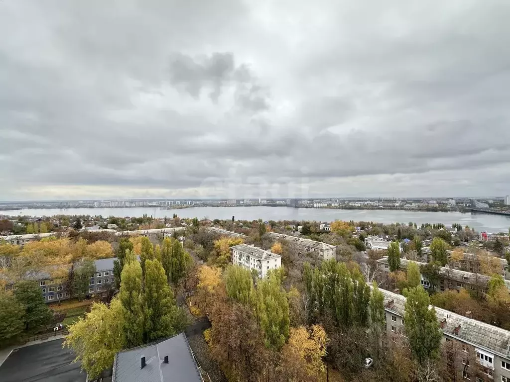 3-к кв. Воронежская область, Воронеж ул. Березовая Роща, 54/1 (93.0 м) - Фото 2