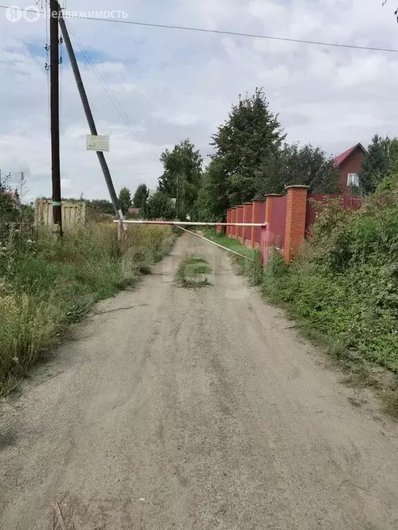 Участок в Ордынское, СНТ Рябинка, Приморская улица (6 м) - Фото 1
