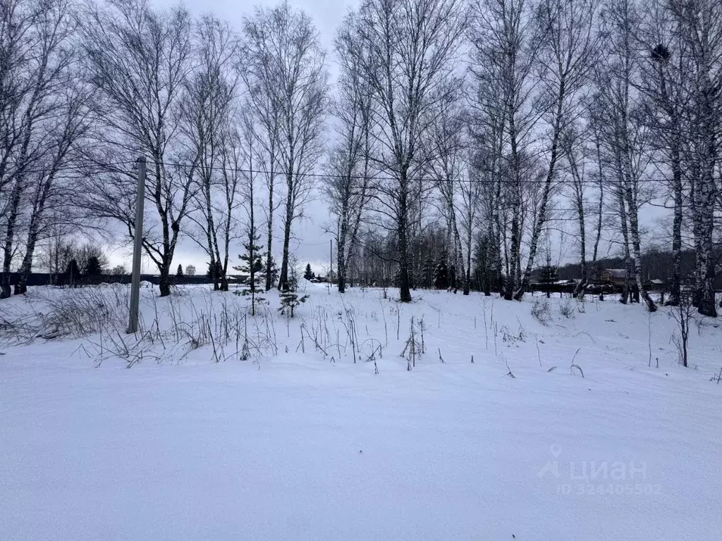 Участок в Новосибирская область, Новосибирский район, Новолуговской ... - Фото 2